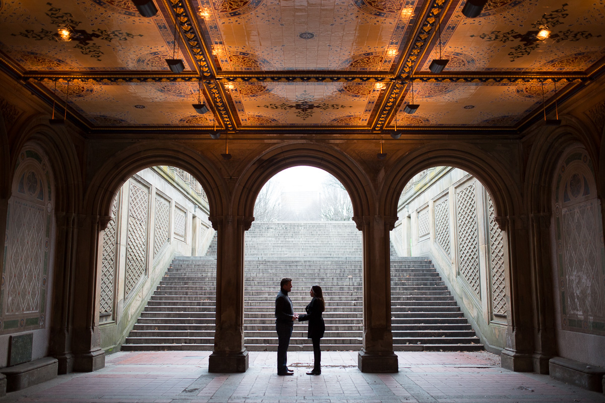 Central Park Bethesda Terrace Proposal